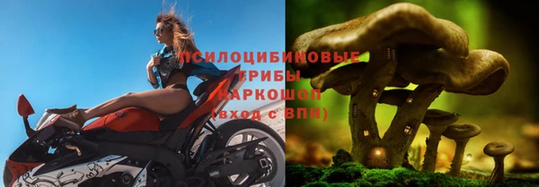 каннабис Няндома